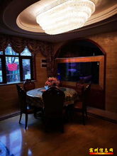 天鵝灣雙拼豪華別墅前后大院自動(dòng)門